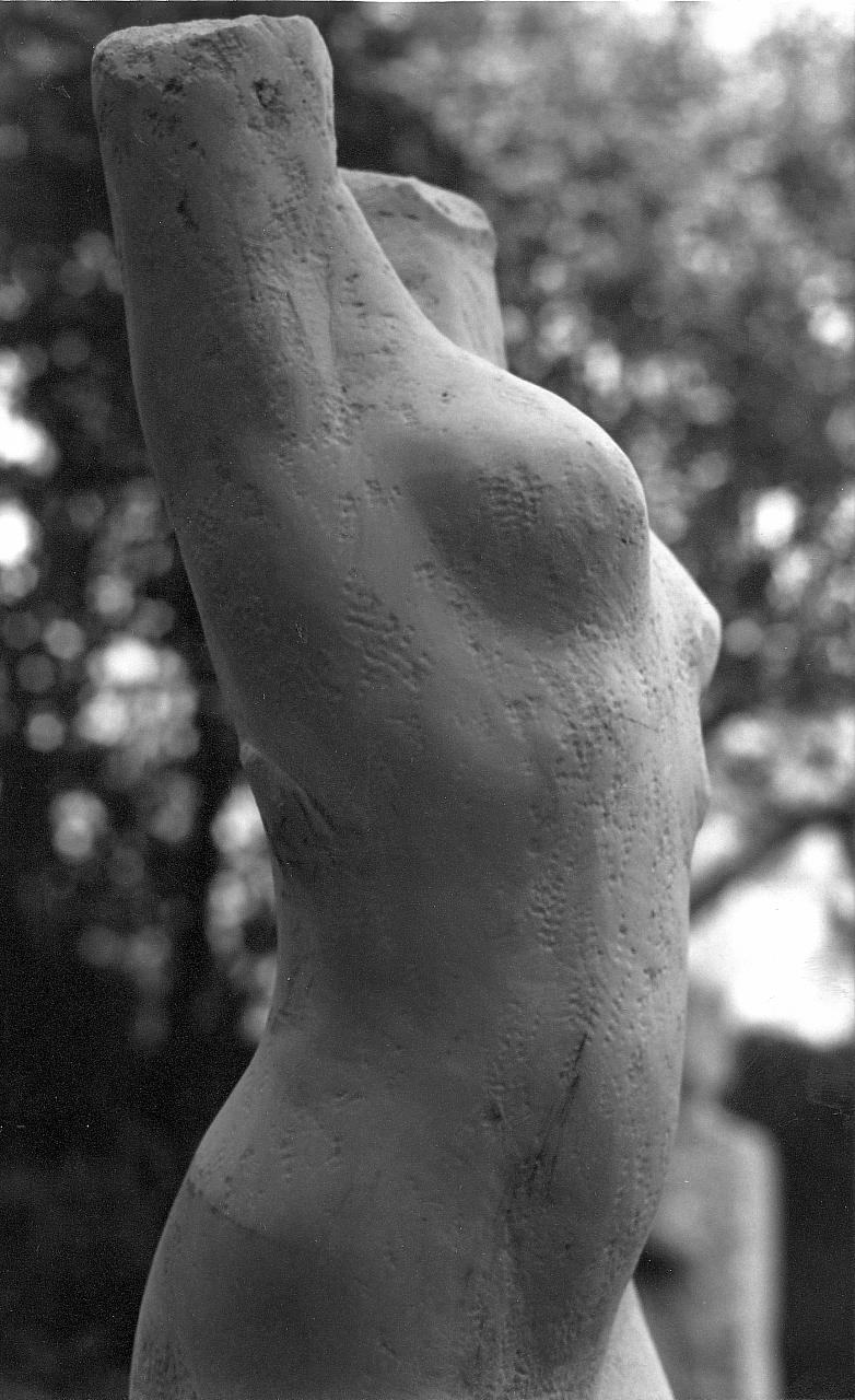 Weiblicher großer Torso Weiblicher großer Torso