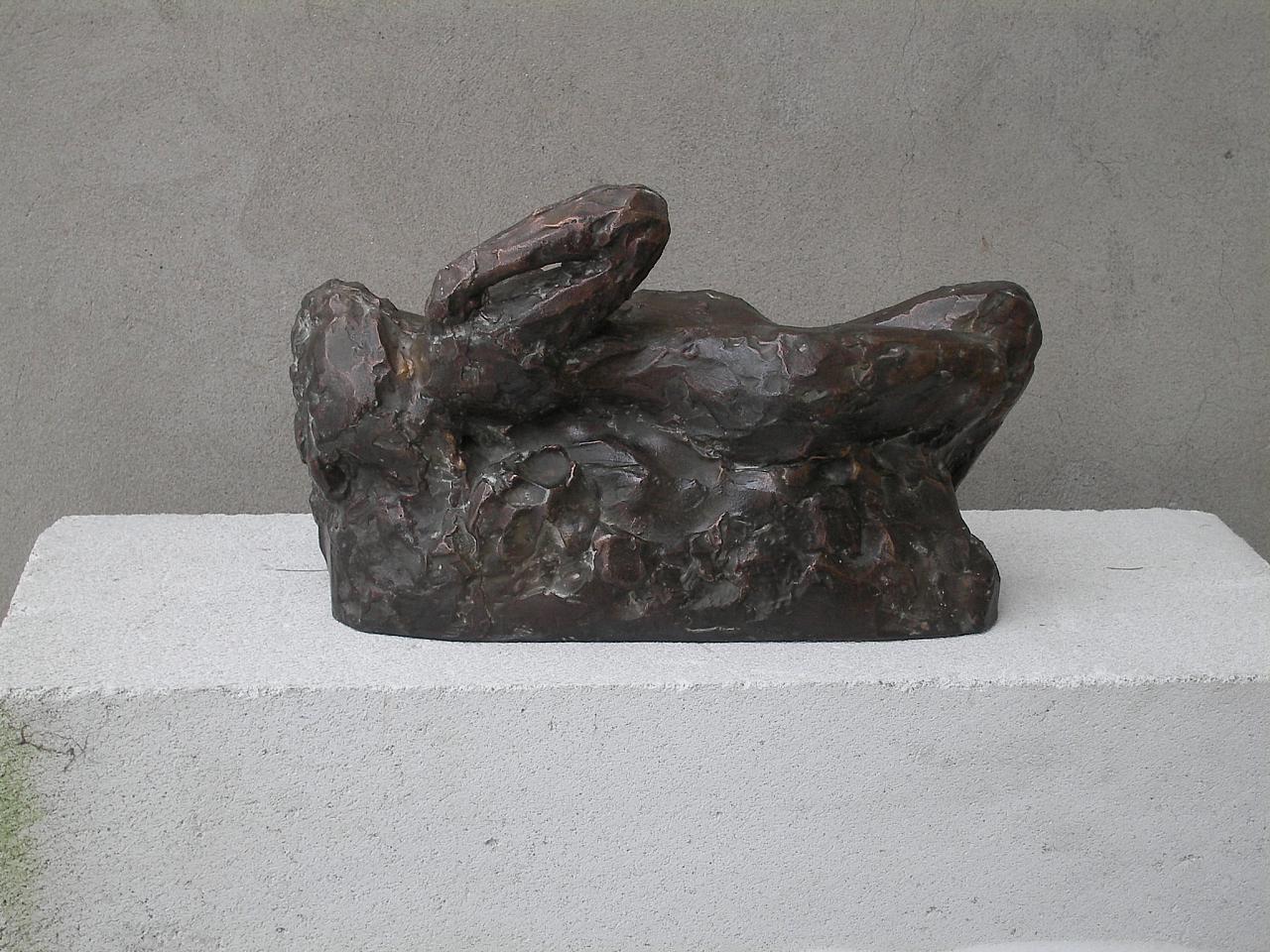 Eingebettete Schlafende Eingebettete Schlafende